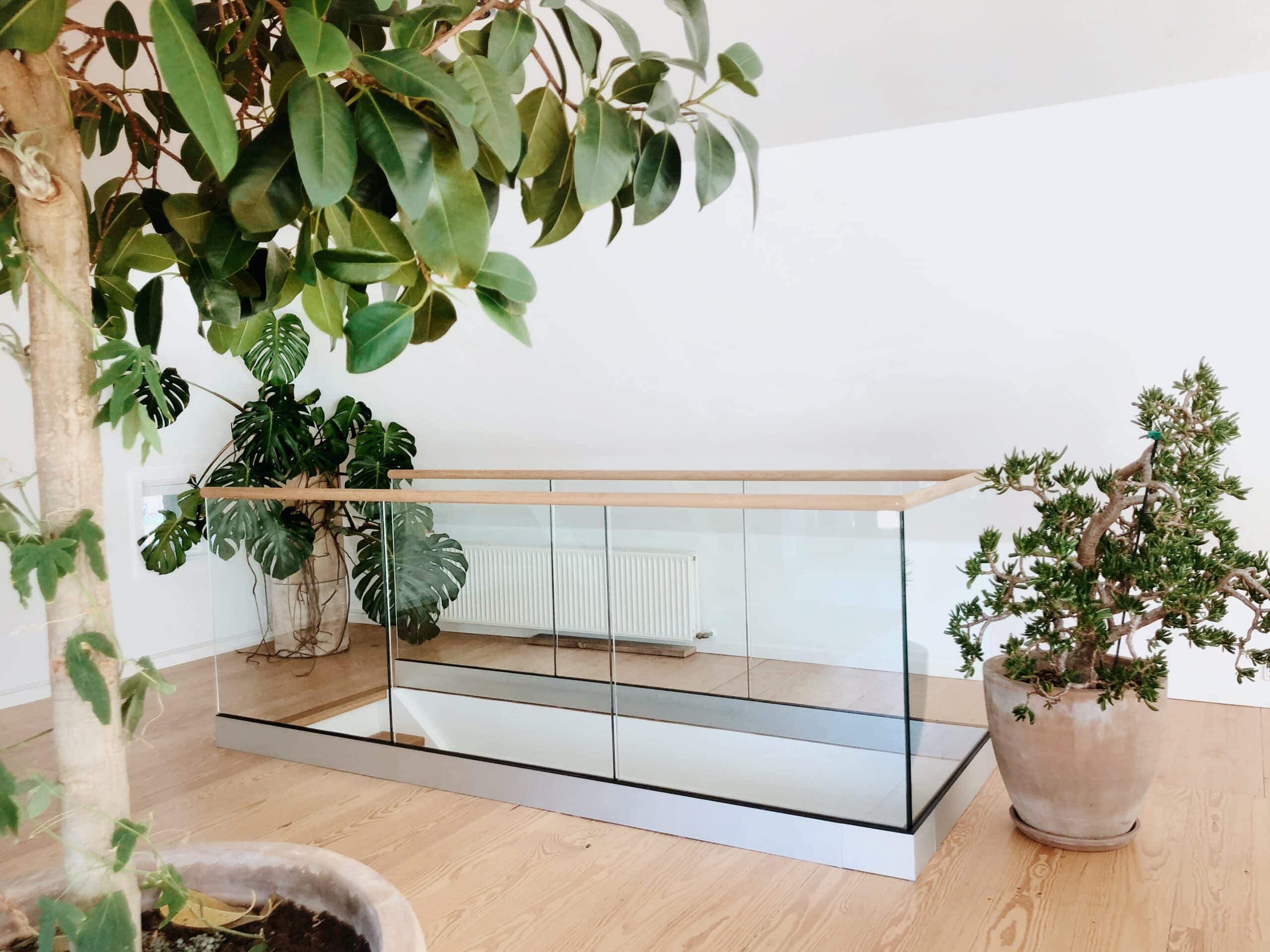 Glasgeländer mit Holzhandlauf rund um eine Treppenöffnung im Dachgeschoss. Ein stabiles Bodenprofil aus Metall sorgt für Sicherheit, während große Grünpflanzen, helle Holzböden und weiße Wände dem Raum ein offenes und harmonisches Ambiente verleihen.